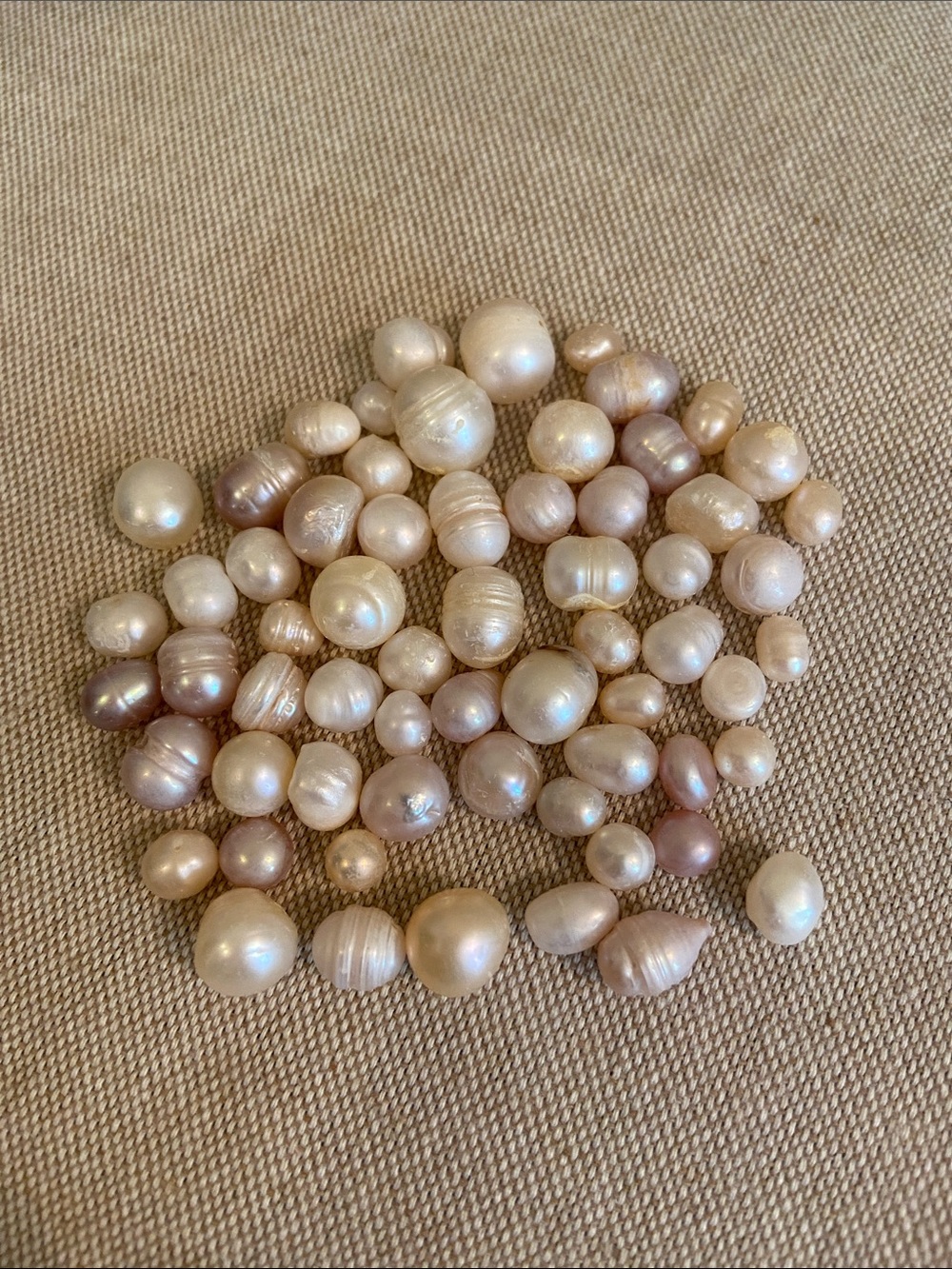 Akoya Pearls - lot of loose/not drilled natural pearls